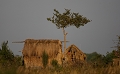 maison de pcheur- marais de Bangweulu
